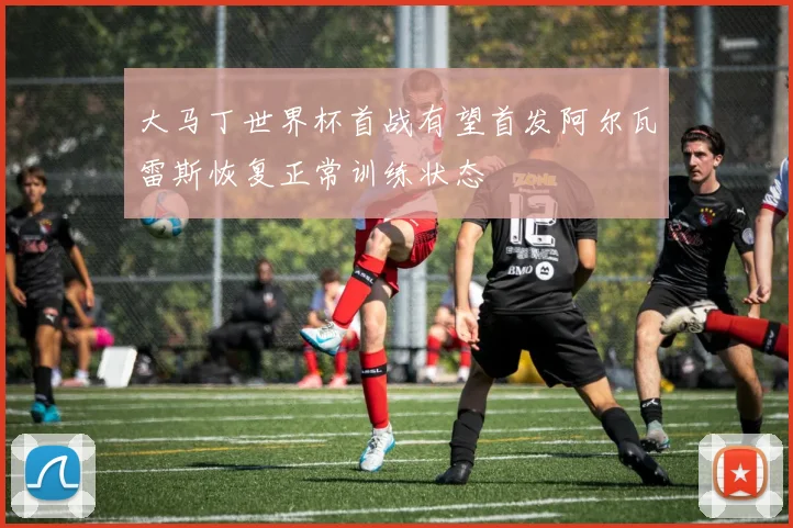 大马丁世界杯首战有望首发阿尔瓦雷斯恢复正常训练状态